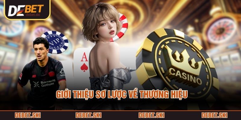 Giới thiệu sơ lược về thương hiệu